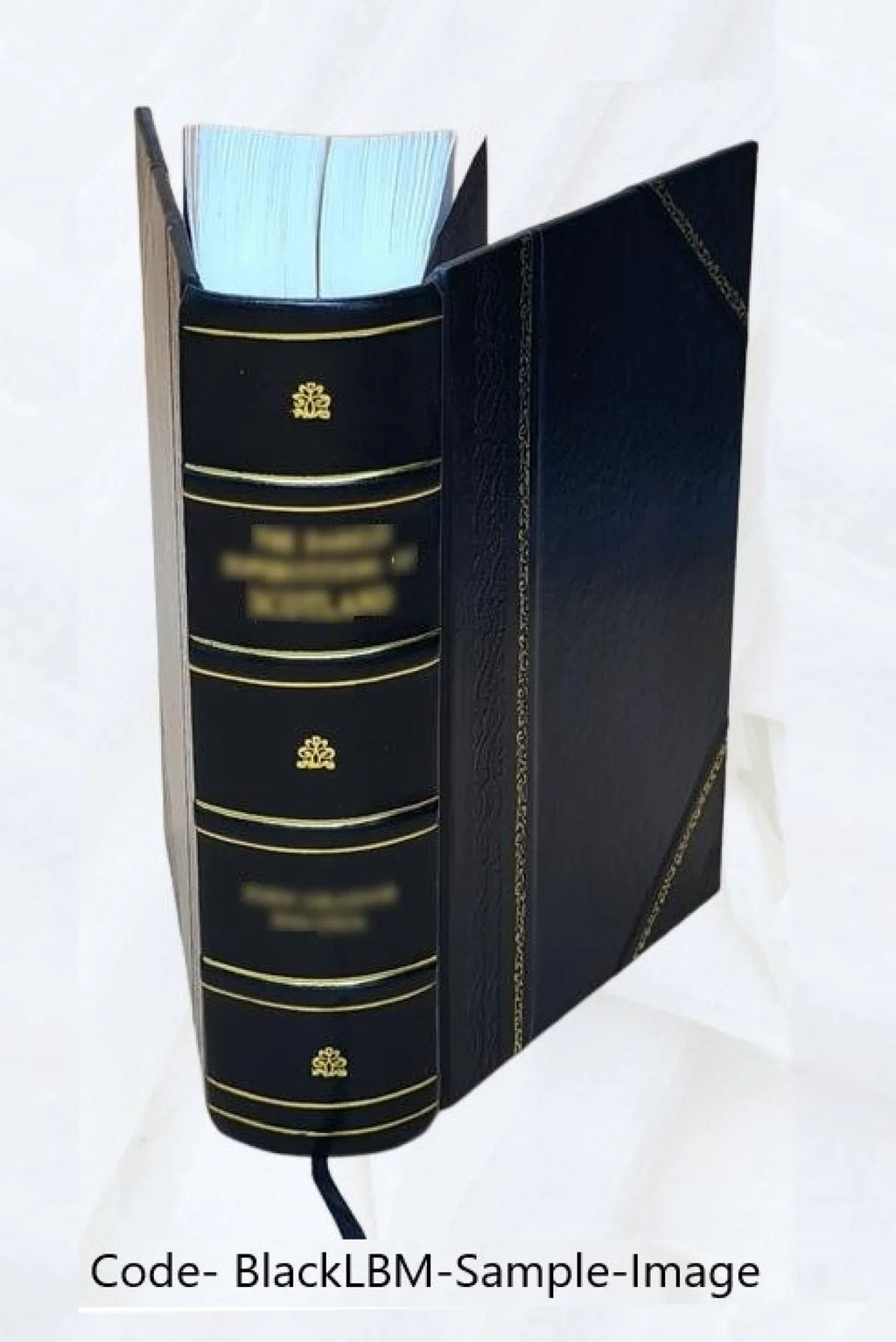 Le ricche minere della pittvra veneziana. Compendiosa informazione di Marco Boschini, non solo delle pitture publiche di Venezia: ma dell'isole ancora circonuicine ... 1674 [Leathe