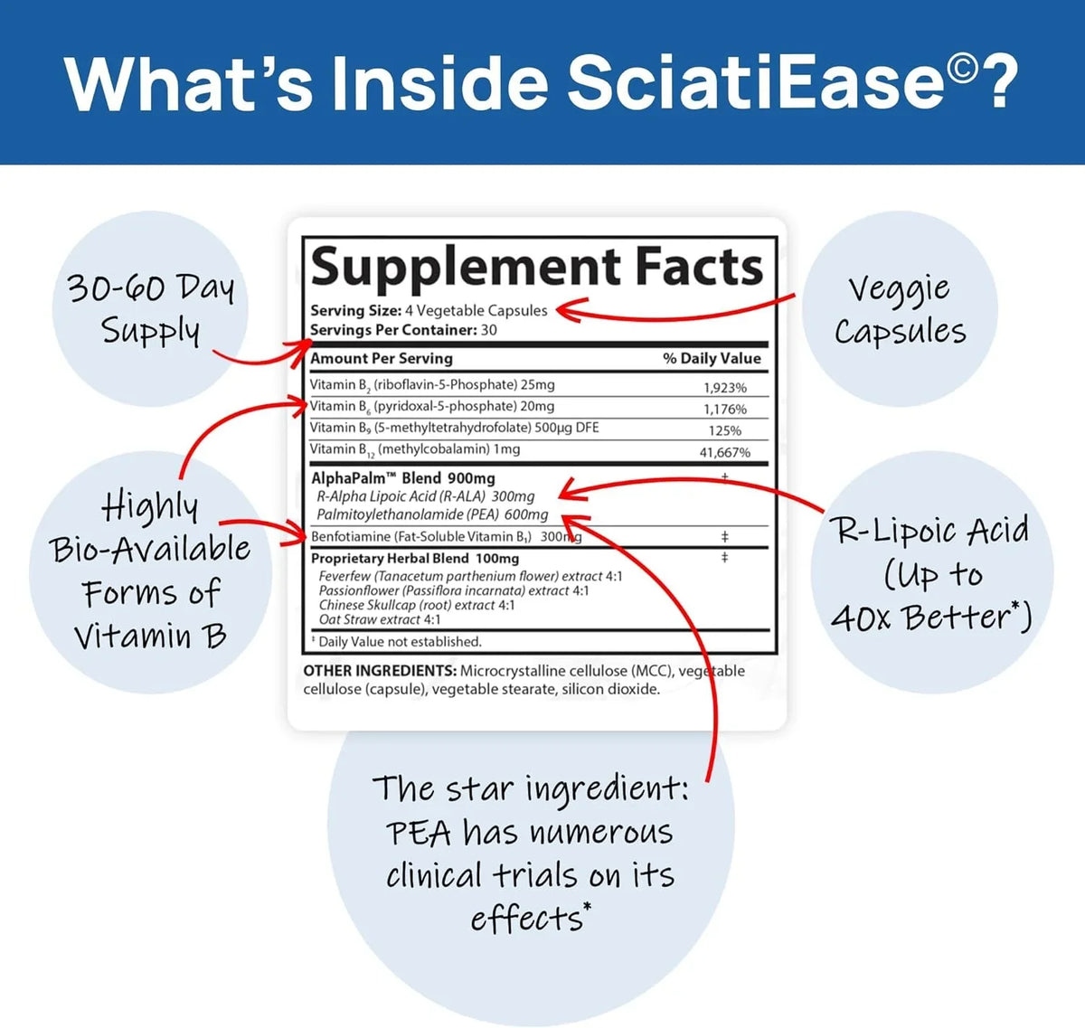 SciatiEase Sciatic Nerve Health Support - Supplement with AlphaPalm, Pea, Vitamin B Complex, Alpha Lipoic Acid 300mg - 120 Capsules - Nerve Support Formula