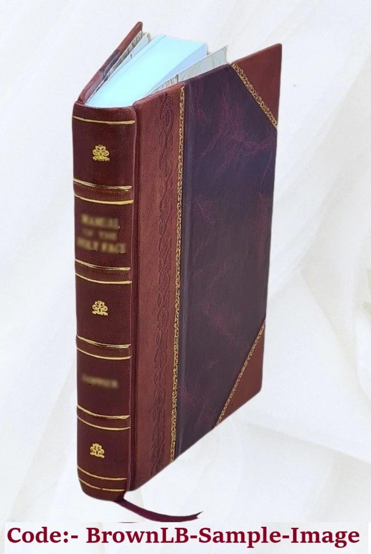 Origin of the western nations & languages : showing the construction and aim of Punic, Protection of the universal language, reconstruction of Phoenician geography, Asiatic source of the dialects of Bri
