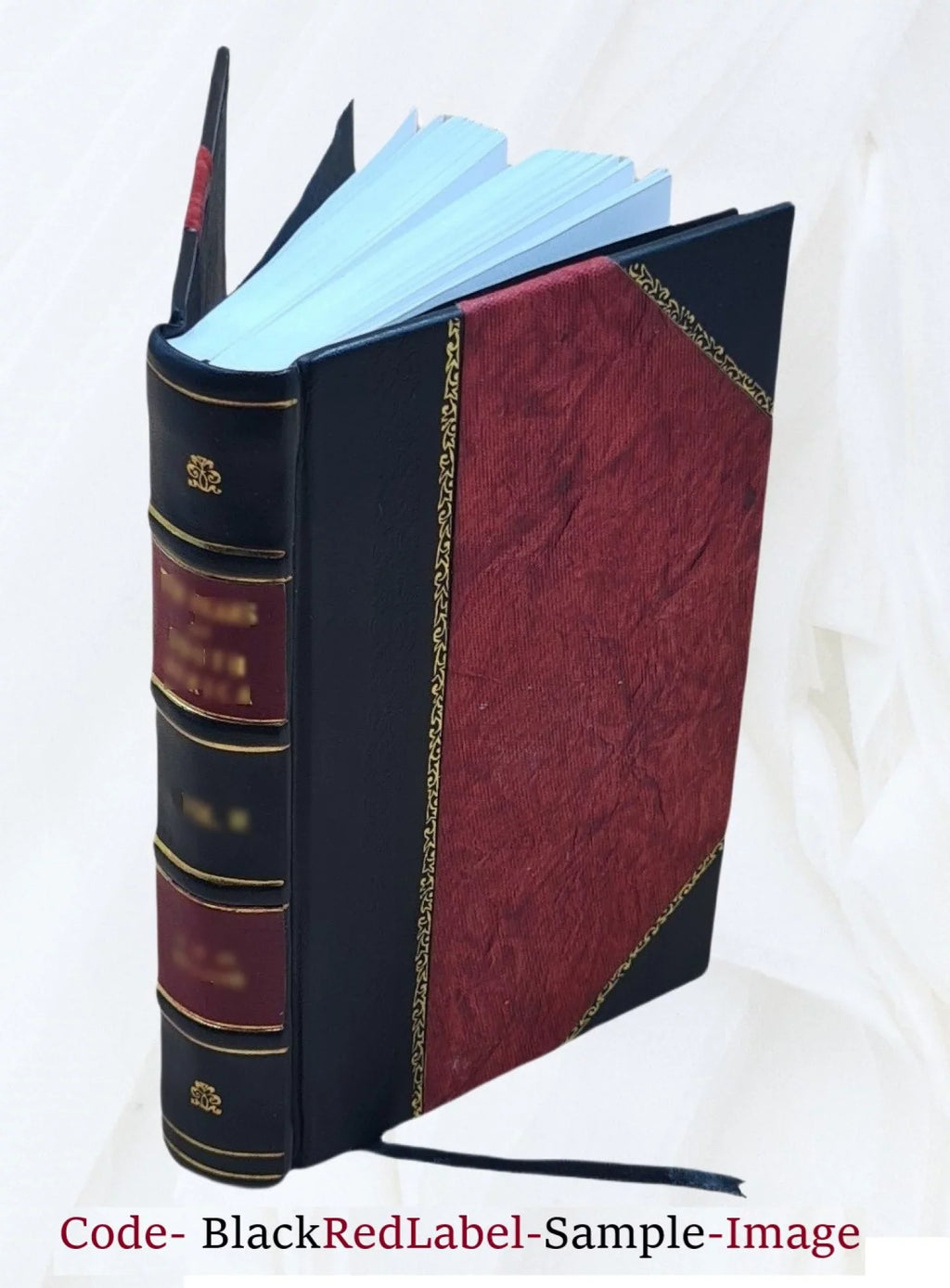 The bi-literal cypher of Sir Francis Bacon Protection in his works and deciphered .. 1899 [Leather Bound]