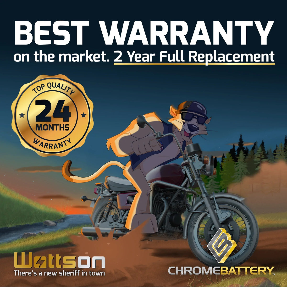 Chrome Battery YTX14AHL-BS (14AHL-BS 12 Volt,12 Ah, 210 CCA) Snowmobile Battery for Arctic Cat Pantera 1993