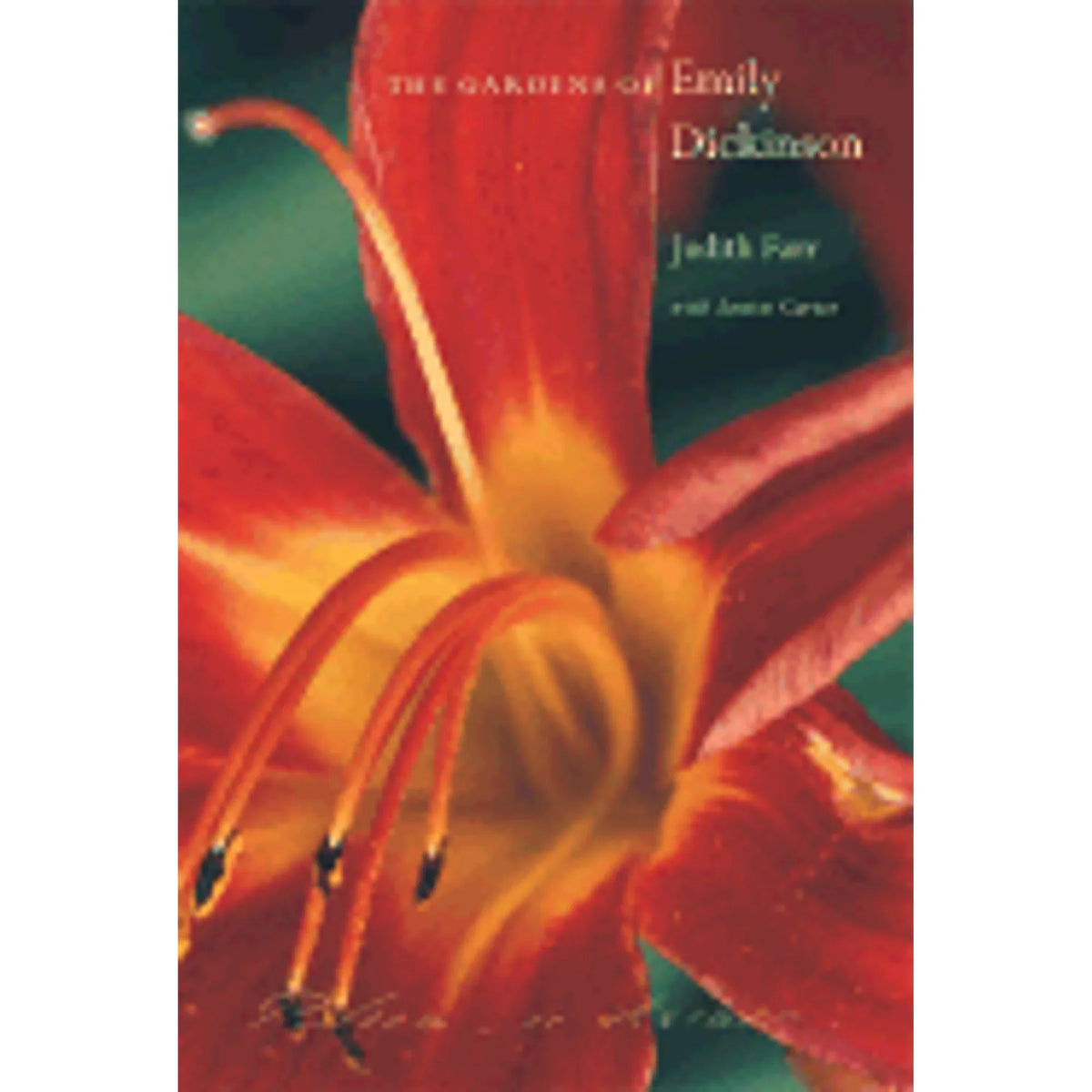 Pre-Owned The Gardens of Emily Dickinson Protection 9780674012936) by Judith Farr, Louise Carter