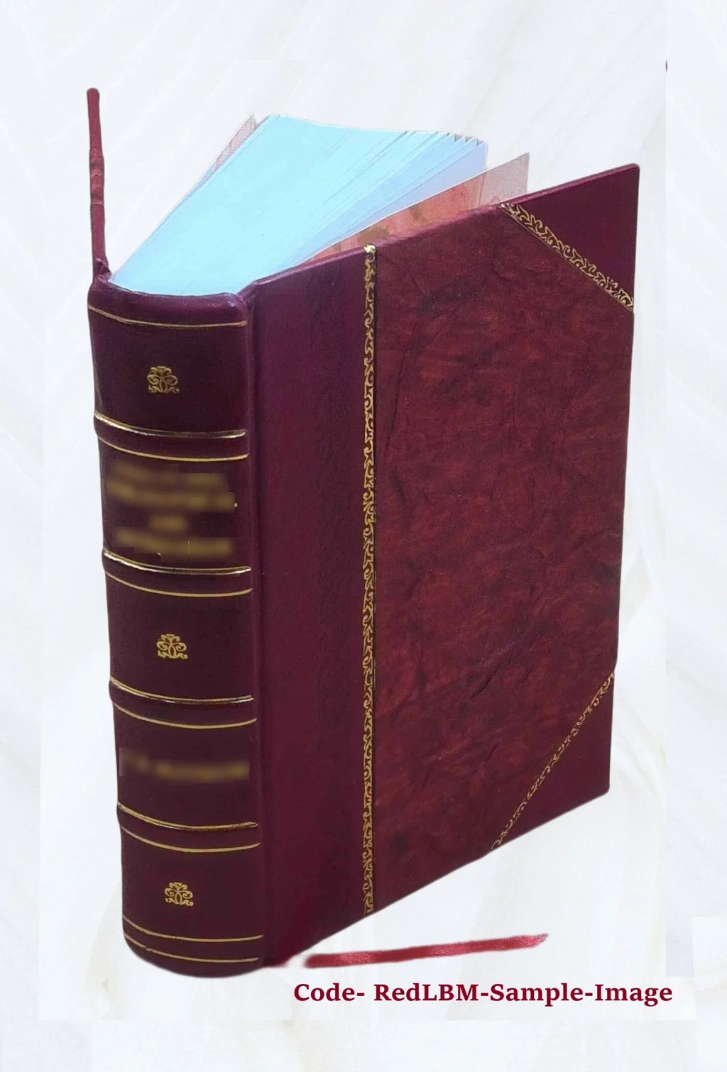 Le ricche minere della pittvra veneziana. Compendiosa informazione di Marco Boschini, non solo delle pitture publiche di Venezia: ma dell'isole ancora circonuicine ... 1674 [Leathe