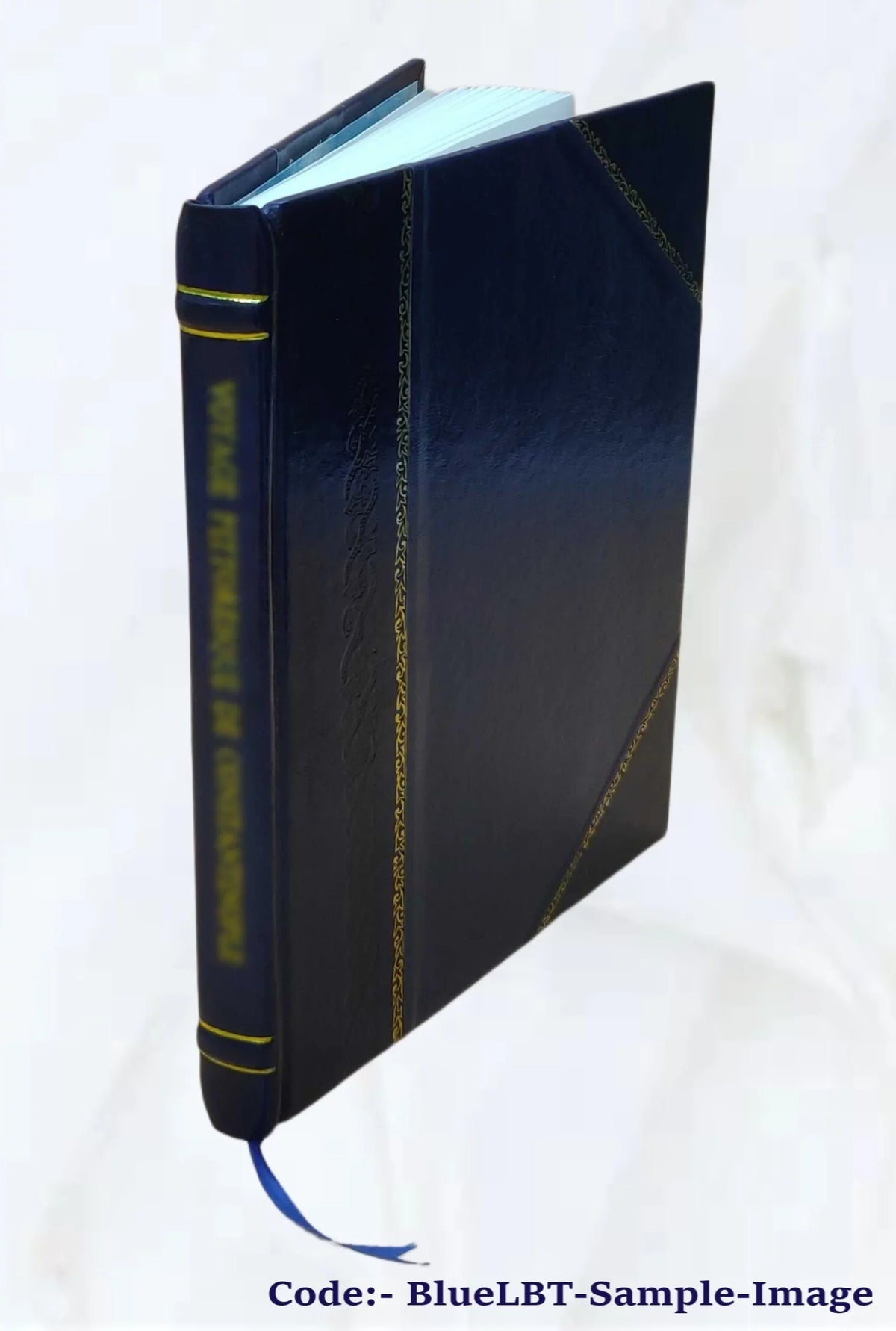Biga quæstionum theologico-philosophicarum quarum I. Sitne de ratione creaturæ essendi novitas? II. Possitne creatura per omnipotentiam Dei absolutam elevari, ut causa creationis s